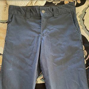 Dickies Slim Stretch Fit Pants (Blue)